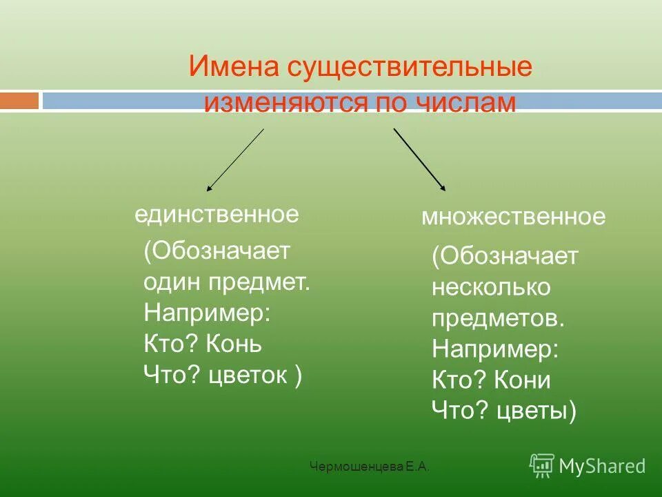 Существительное одушевленное собственное единственного числа. Существительное одушевленное собственное единственного числа
