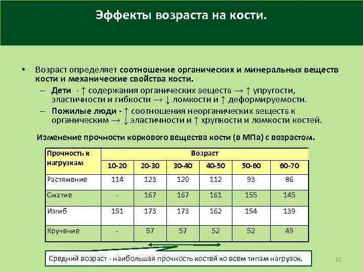 Определить какой возраст. Механические свойства кости. Механические характеристики кости. Механические свойства костей и суставов. Механические свойства костной ткани.