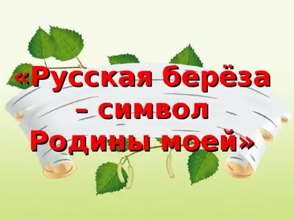 Белая береза символ