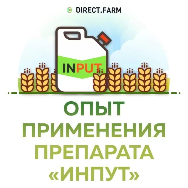Инпут фунгицид. Инпут препарат. Инпут пестицид штабель. Фунгицид байер. Инпут фунгицид концентрация препарата.