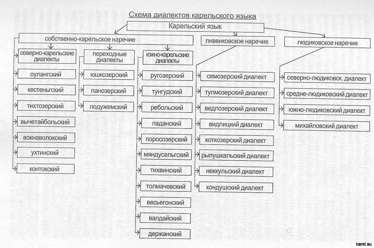 Диалекты карельского языка. Карельские диалектизмы. Карельские диалектизмы примеры. Диалектизмы Карелии. Язык диалект наречие