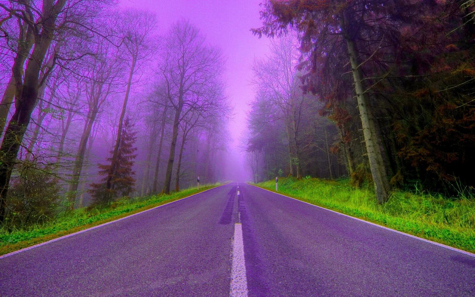 Крутой фон для фото. Фиолетовый пейзаж. Дорога в лесу. Фиолетовый лес. Красивая дорога.