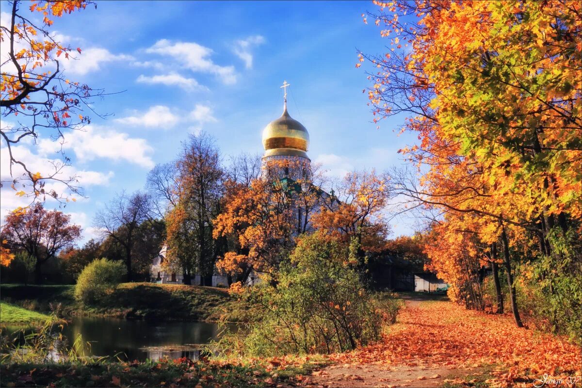 Осень 2016 г. Парк осенью. Омск золотая осень. Ивановская область город плеск. Город плес ивановской области.
