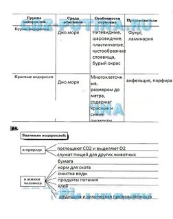 Изучив текст параграфа заполните схему значение водорослей