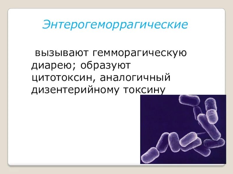 Кишечная палочка вызывает заболевания. Энтерогеморрагические кишечные палочки. Энтерогеморрагический эшерихиоз. Энтерогеморрагических е. coli. Энтерогеморрагические кишечные палочки вызывают.