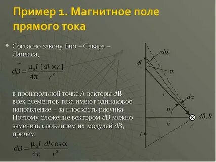 Произвольная точка вектора