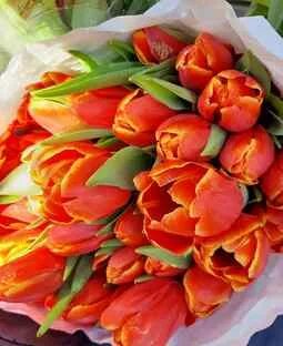 Купить тюльпаны в кемерово