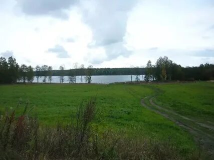 Деревня удальцово ленинградская область