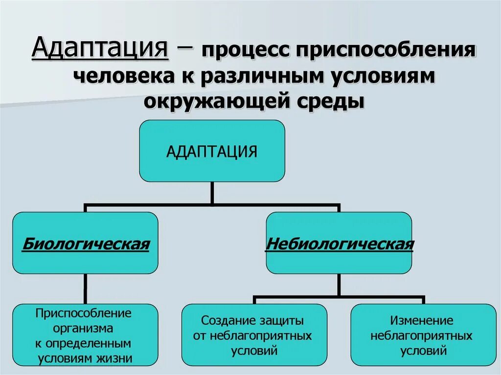 Нарушение приспособления