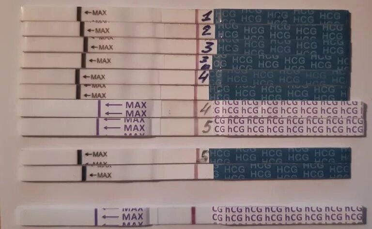 Тест на беременность после переноса пятидневок. Тесты на беременность по ДПП. Тесты после переноса. Тест на беременность после эко. Тесты после подсадки эмбрионов.