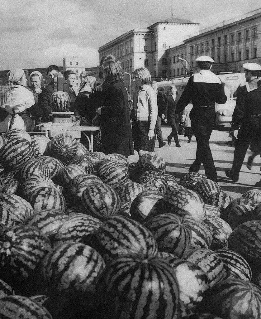Бахчевые культуры в ссср. Около воза с астраханскими арбузами толпились. Около воза с астраханскими арбузами толпились. Около воза с астраханскими арбузами толпились. Арбузное поле.