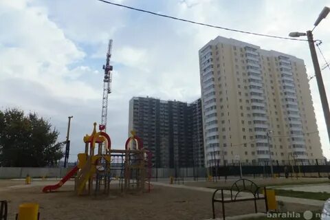 Лавочкина пашковка