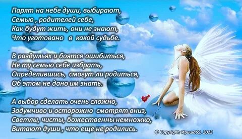 Души выбирают