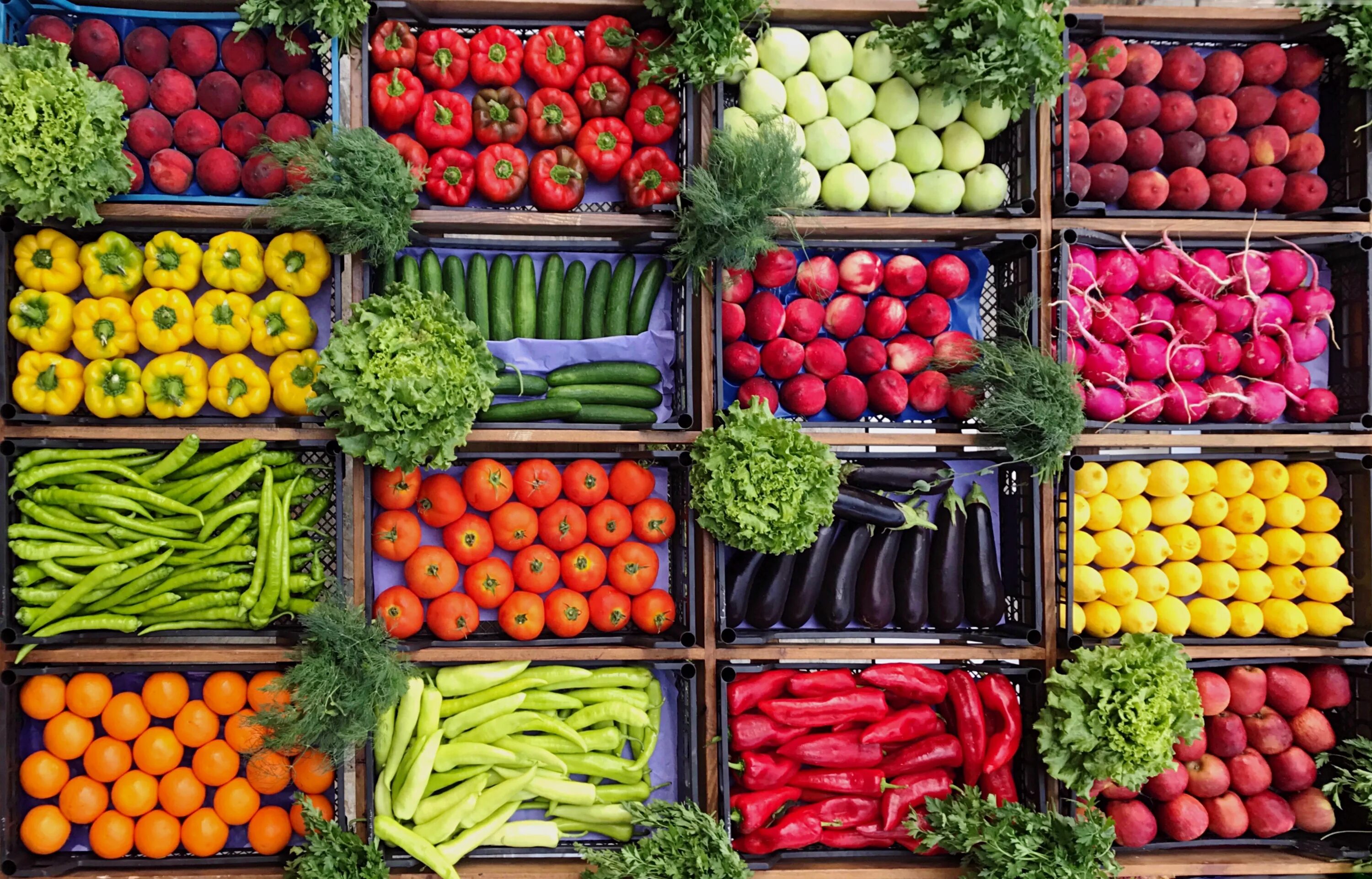 Овощи и фрукты. Сочные овощи. Разнообразие фруктов и овощей. Свежие овощи. Организация фрукты овощи