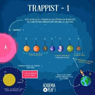 Трапист