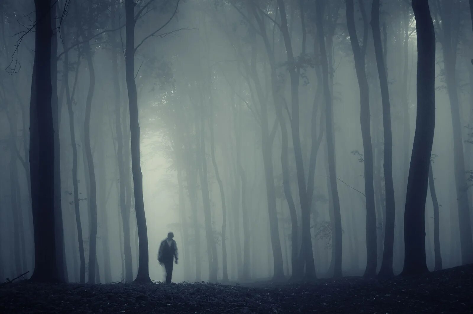 Темнота естественная. Человек в туманном лесу. Страшный лес в тумане. Страшный туман. Страшный лес ночью в тумане.