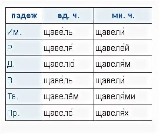 Щавель просклонять с ударением. Щавель ударение склонение. Просклонять по падежам слово щавель. Щавель склонение по падежам. Падеж слова брюки