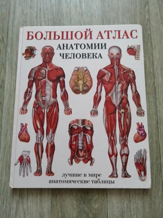 Атлас анатомии человека. Анатомический атлас. Большой анатомический атлас человека. Человек: атлас.. Атлас студентам анатомии