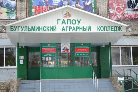 Эстетика бугульма