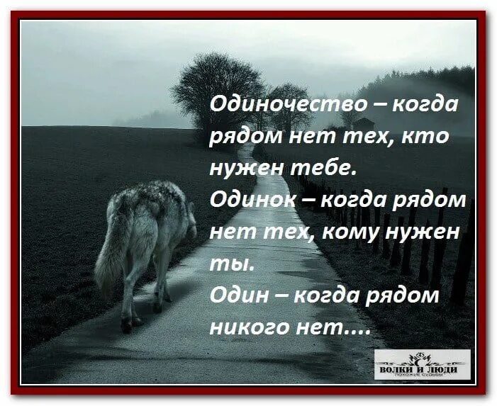 Если жили все в одиночку. Цитаты про одиночество. Одиночество лучший друг человека. Одинокий цитаты. Страх одиночества.