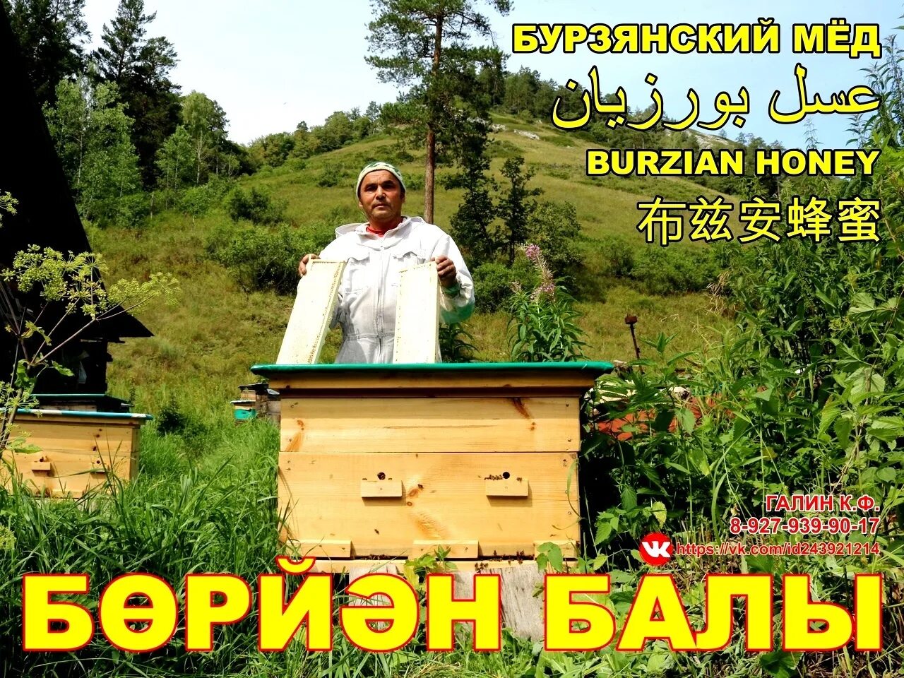 Форум пчеловодов башкирии