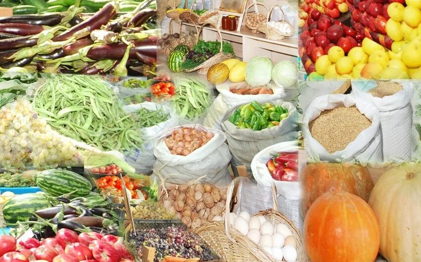 Контрактация это договор стороны договора. Продукты растениеводства. Производитель сельскохозяйственной продукции и заготовитель. Особенности контрактации. С/х продукция.