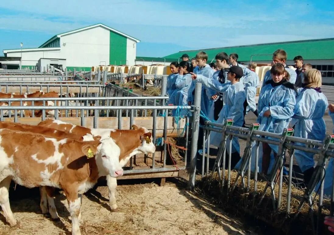 Агроном. Практика аграрный университет. Практика аграрный. Агроном. Практика аграрный.