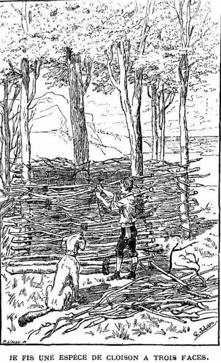 приключения софи. приключения на четверых. описывая приключения молодого моряка на острове автор. вурдов николай писатель. необитаемый остров (союзмультфильм, 1971 г.