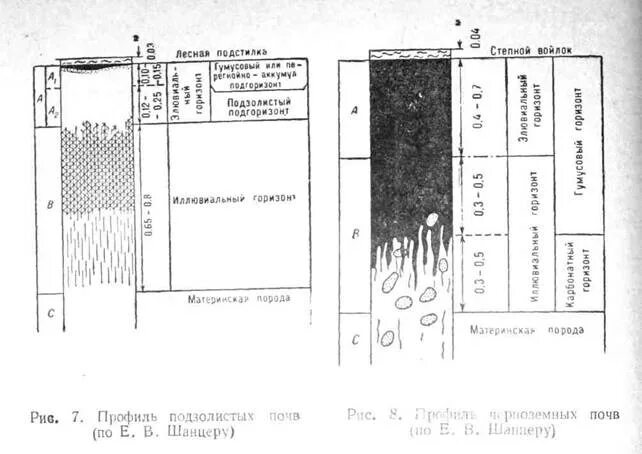 Схема подготовки семян к посеву. Посев зерновых глубина заделки семян. Почву на глубину 1 1. Почву на глубину 1 1. Глубина заделки семян семян.