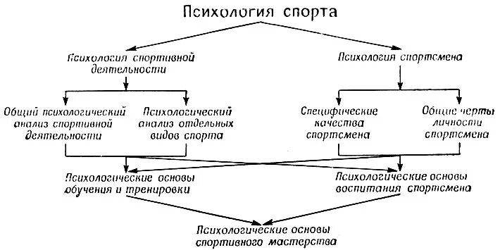 Психологические методы в спорте. 1. Психологическая структура спортивной деятельности. Схема психологические особенности спортивной деятельности. Основы психологии в спорте. Психология личности спортсмена.