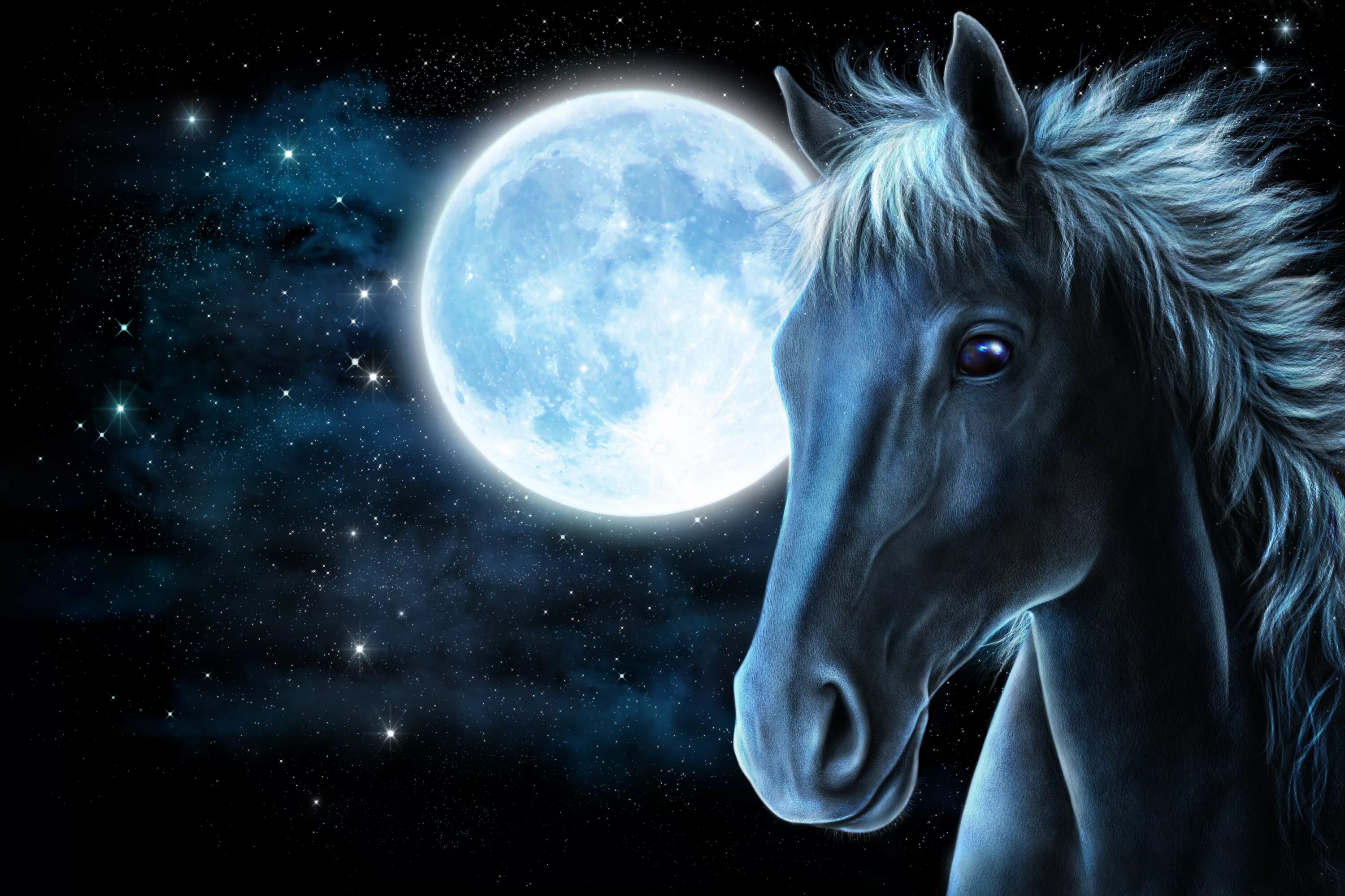 Синяя лошадь. Лошади на рабочий стол. Лошадь ночью. Красивые арты лошадей.