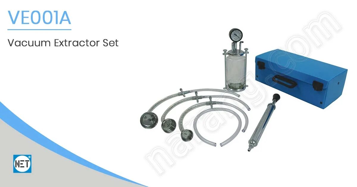 Model extractor