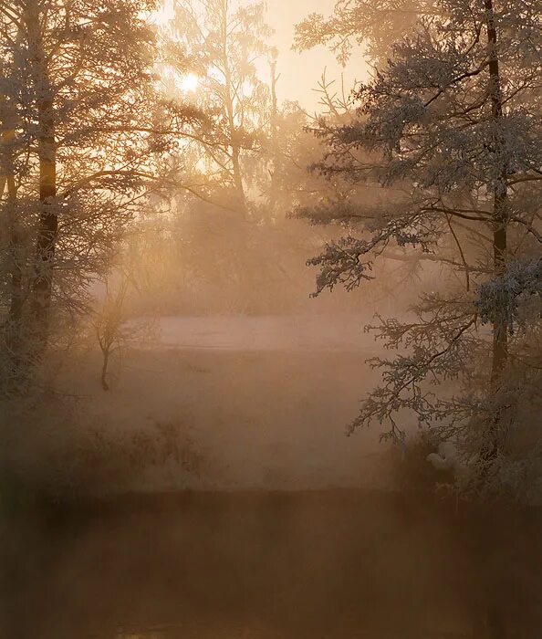 Пейзаж туманное утро. Лето утро туман август. Встреча в тумане. Летнее утро туман. Рассвет туман.