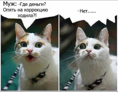 Вспомнить где деньги