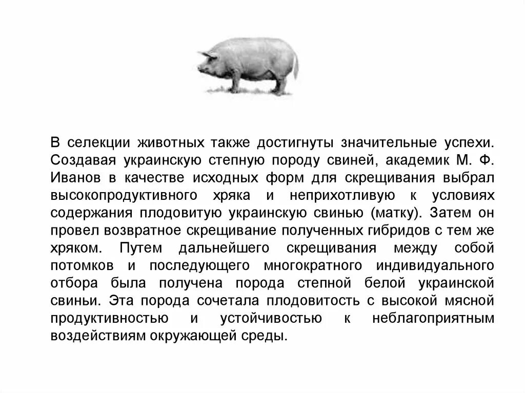 Достижение мировой селекции сообщение. Степную породу свиней, академик м. ф. иванов. селекция животных достижения селекционеров. украинская степная белая порода свиней. успехи в современной селекции животных.