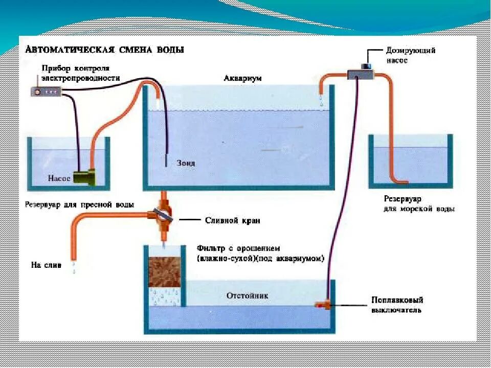 Схема подключения аквариумного оборудования. Бассейны для УЗВ схема. Схема фильтрации воды в УЗВ. Система автодолива для аквариума. Как правильно менять воду