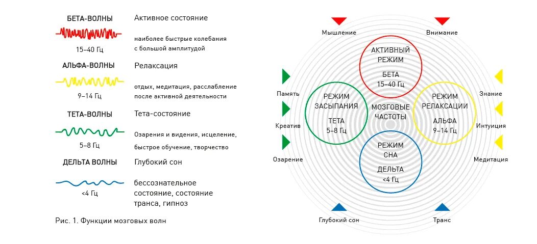 Тета мест. Тета Альфа бета Дельта состояние. Альфа бета тета ритмы мозга. Бета Альфа тета Дельта мозговые волны. Мозговые волны Альфа бета тета гамма.