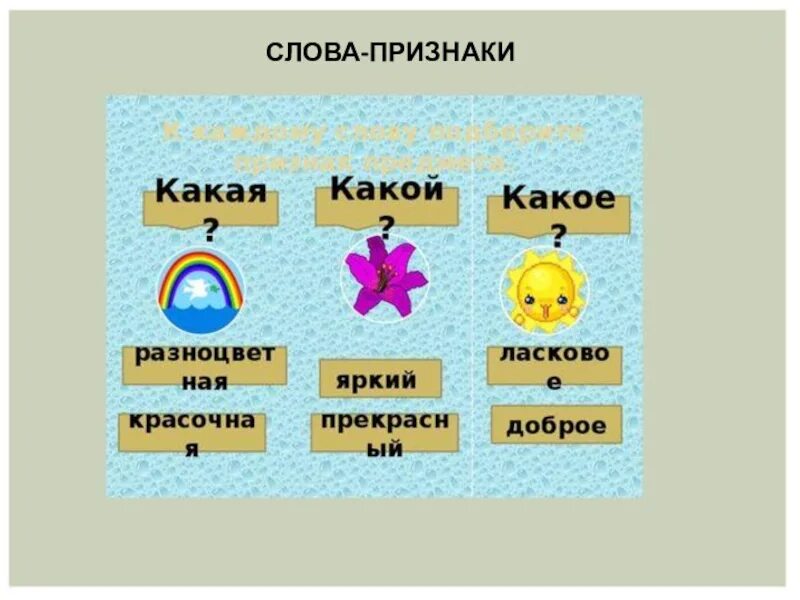 Краткие слова признаки. Слова признаки. Слова признаки любые. Слова признаки это какие слова. Слова признаки близкое....