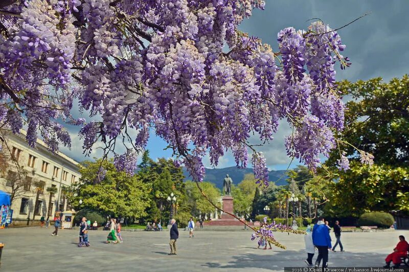Какой праздник в крыму в июне
