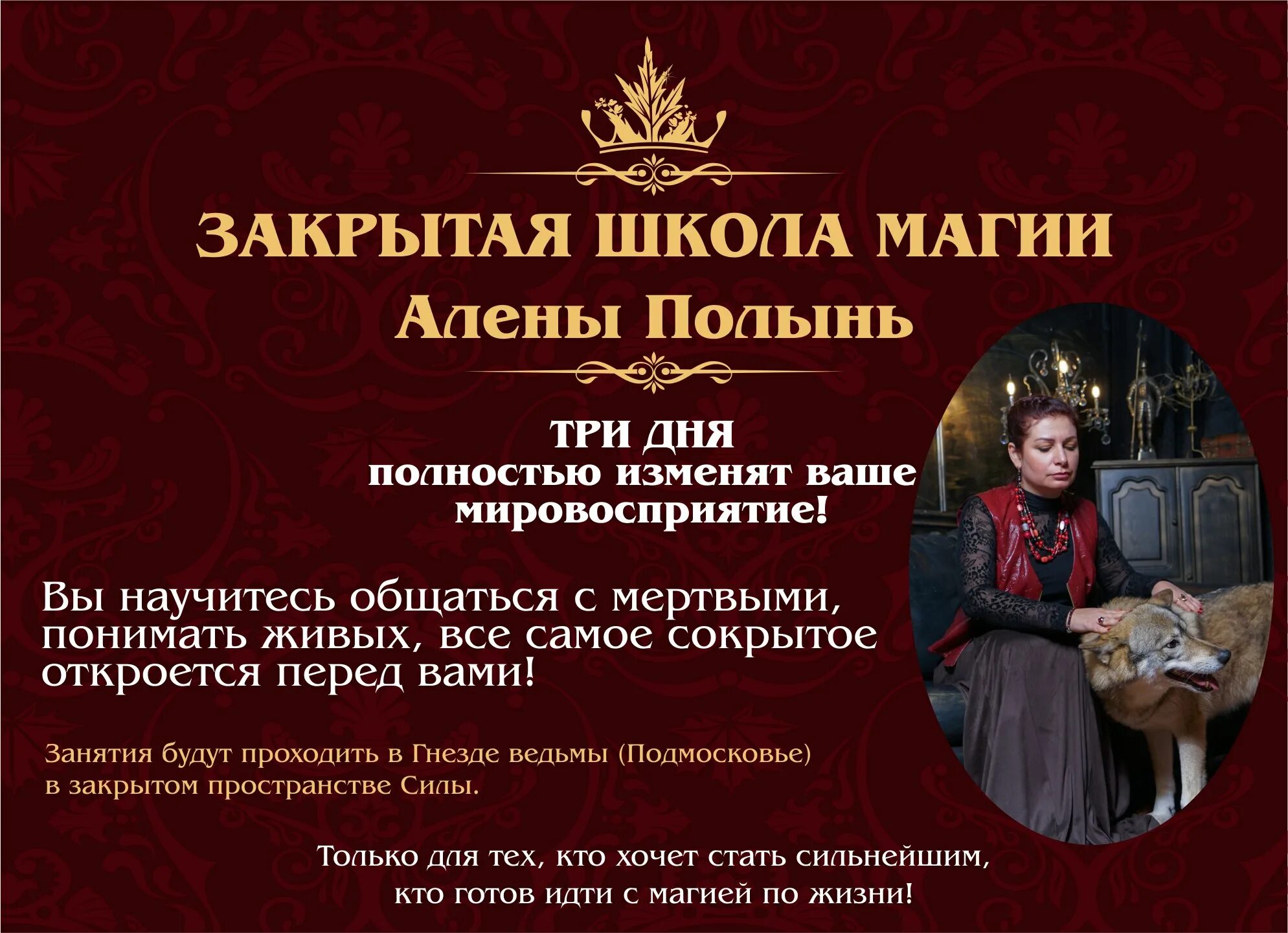 империя сильнейших ведьм официальный сайт. империя сильнейших ведьм алены полынь. школа алены полынь. полынь алена магия. алена полынь битва экстрасенсов.