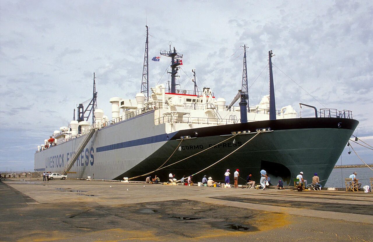 Габариты 5 тонника рефрижератора. Хино рейнджер 5 тонн грузовой фургон. Самосвал 20 м3 нагрузка на ось. Газель фермер категория тс. Тонаж.