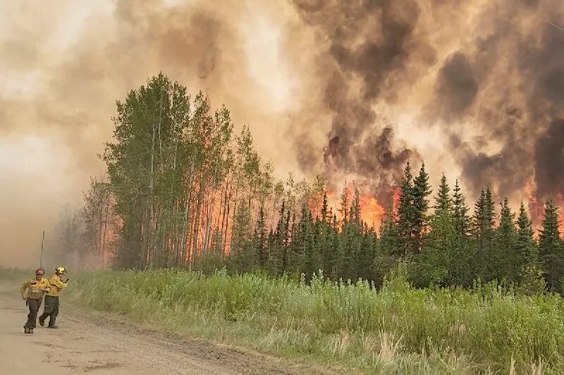Пожар в свердловской области 2021 14 августа. Лесные пожары в якутии 2023. Рыжий лес горит. Летом в лесу бушевали пожары. Лесные пожары.