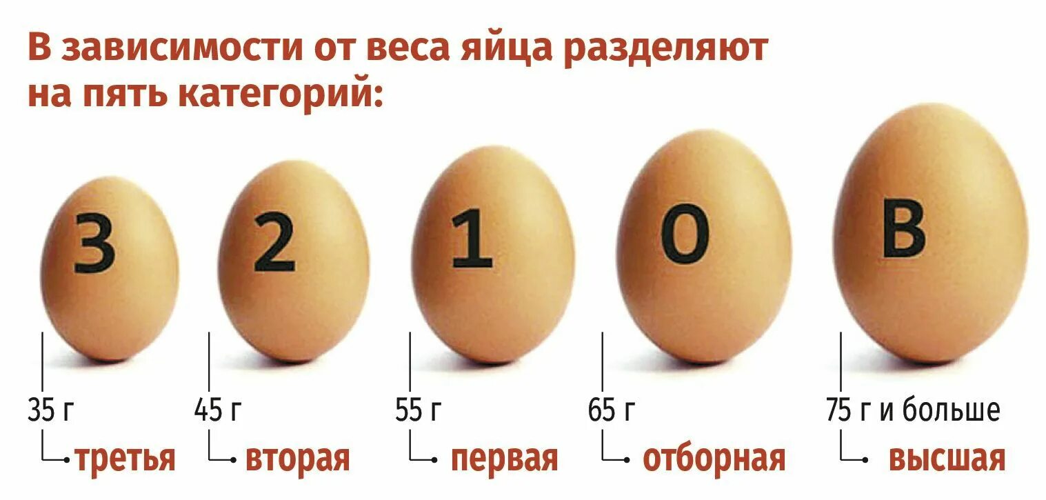 Чем отличается куриное
