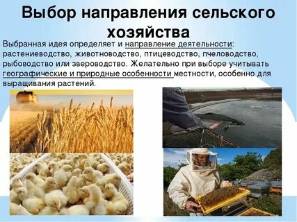 Виды услуг в сельском хозяйстве