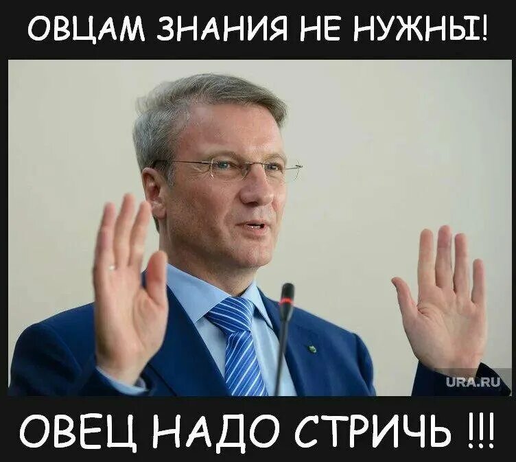 Греф об образовании как тогда управлять народом. Греф карикатура. герман греф карикатура. греф фотожабы. овцам знания не нужны греф.