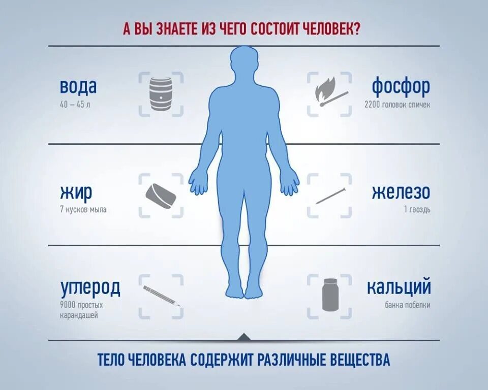 Элементы в теле человека. Из чего состоит человек. Из чево састаит человек. Из чего состоит организм человека. ЦЗ чего состоитселовек.