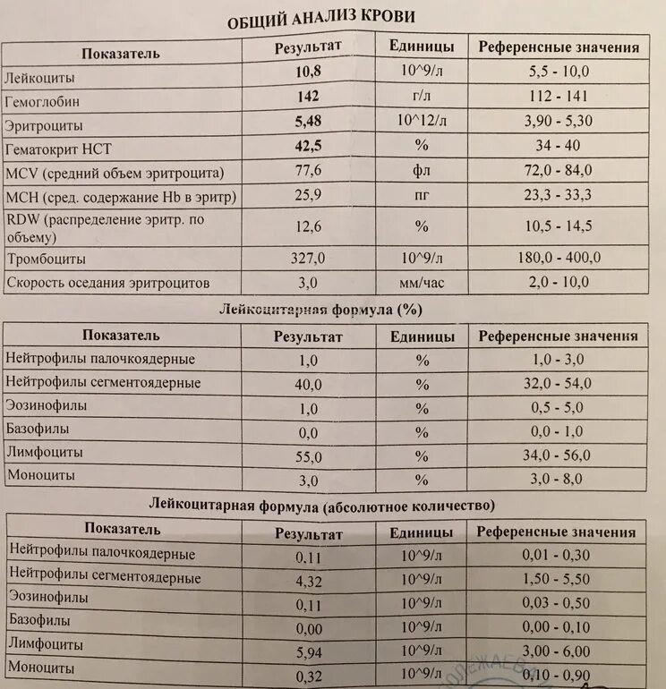 Пришли результаты крови на. Нормальные показатели анализа общего анализа крови. Полный анализ крови,нормальные показатели. Показатели нормального анализа крови общий клинический. Общий анализ крови развернутый норма.