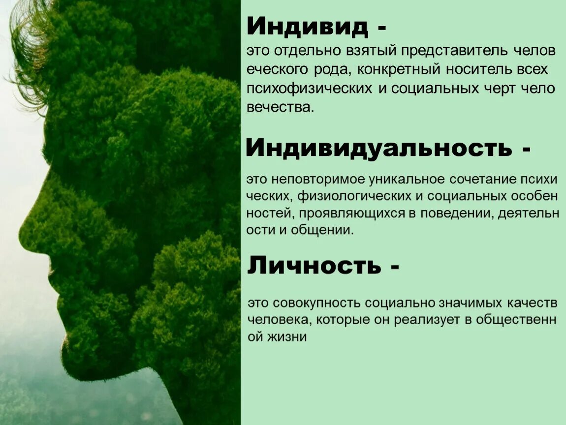 Личность отдельно взятый представитель человеческого рода