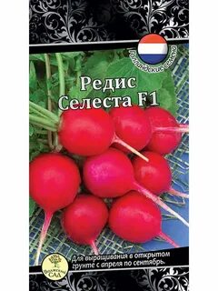 Редис селеста описание