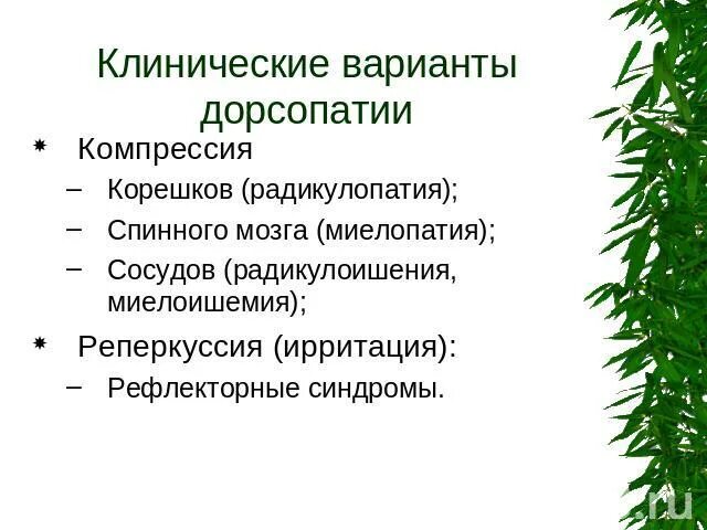 Дорсопатии позвоночника мкб 10 код. Клинические варианты дорсопатии. Клинические проявления дорсопатии. Синдромы при дорсопатии. Дорсопатия шейно-грудного отдела позвоночника что это такое.